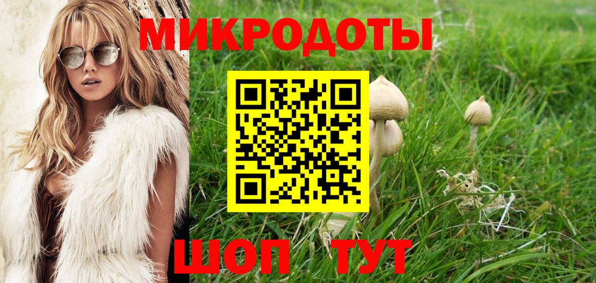 Псилоцибиновые грибы GOLDEN TEACHER Сибай